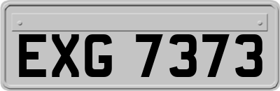 EXG7373