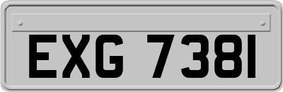 EXG7381