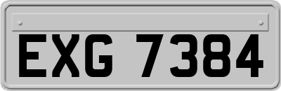 EXG7384