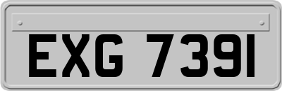 EXG7391