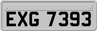 EXG7393