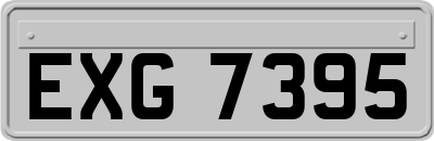 EXG7395