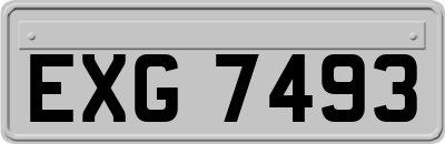 EXG7493