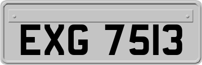 EXG7513