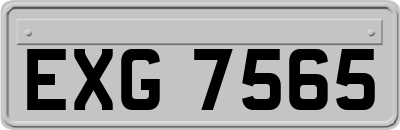 EXG7565