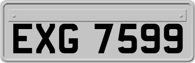 EXG7599