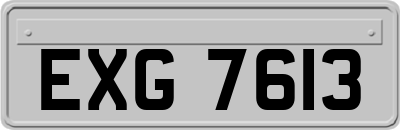 EXG7613