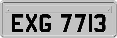 EXG7713