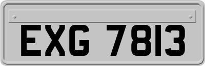 EXG7813