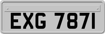 EXG7871