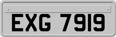 EXG7919
