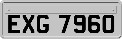 EXG7960