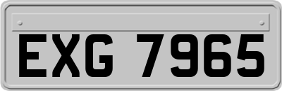 EXG7965
