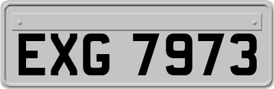 EXG7973