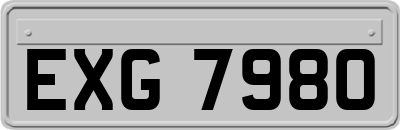 EXG7980