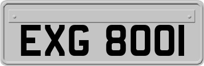 EXG8001
