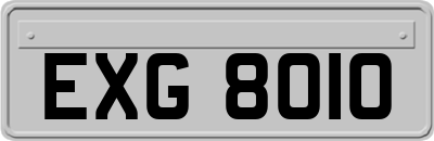 EXG8010
