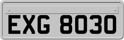EXG8030