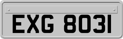 EXG8031