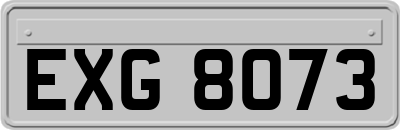 EXG8073