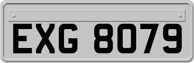 EXG8079