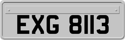 EXG8113