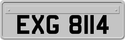 EXG8114