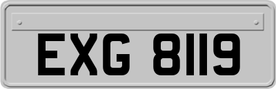 EXG8119