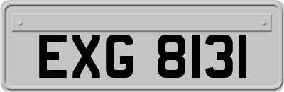 EXG8131