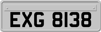 EXG8138