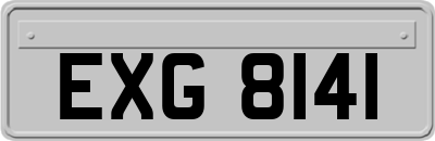 EXG8141