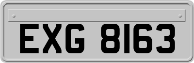 EXG8163