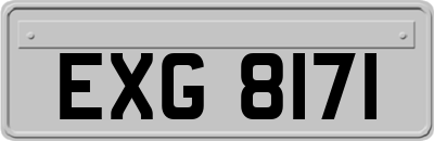 EXG8171