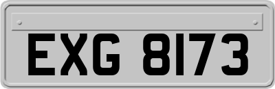 EXG8173