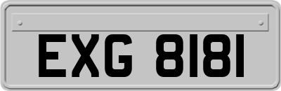 EXG8181
