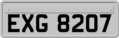 EXG8207
