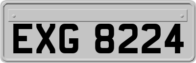 EXG8224