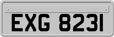 EXG8231
