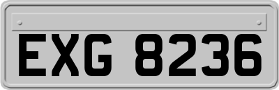 EXG8236