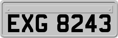 EXG8243