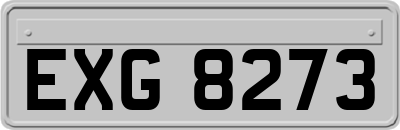 EXG8273