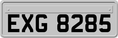 EXG8285