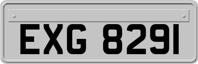 EXG8291
