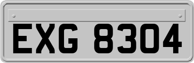 EXG8304