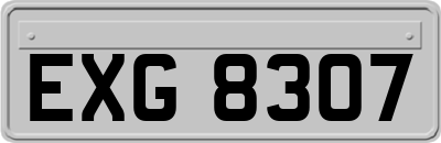 EXG8307