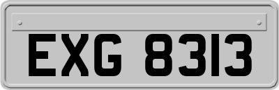 EXG8313