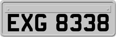 EXG8338