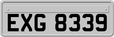 EXG8339