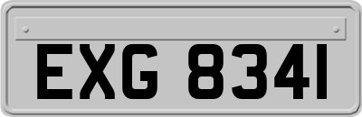 EXG8341