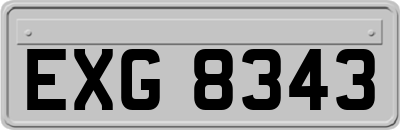 EXG8343